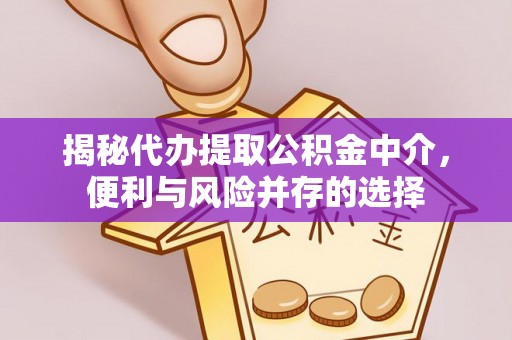高邑揭秘代办提取公积金中介，便利与风险并存的选择