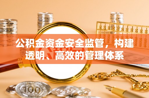 高邑公积金资金安全监管，构建透明、高效的管理体系