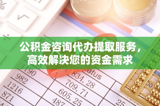 高邑公积金咨询代办提取服务，高效解决您的资金需求