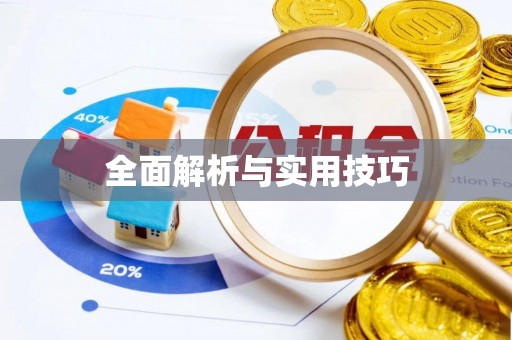 高邑全面解析与实用技巧