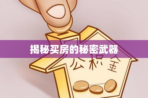 高邑揭秘买房的秘密武器