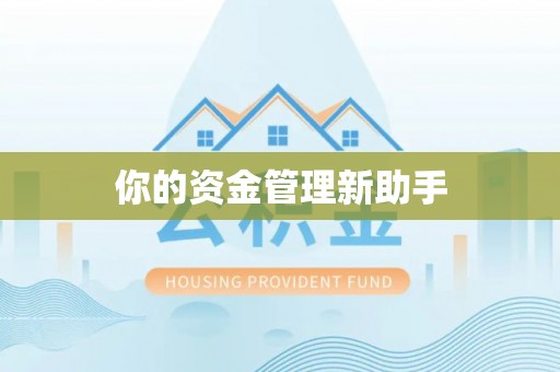 高邑你的资金管理新助手