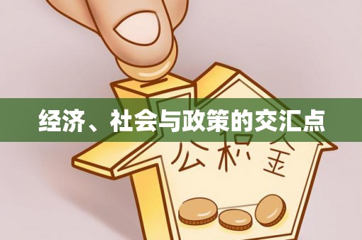 高邑经济、社会与政策的交汇点