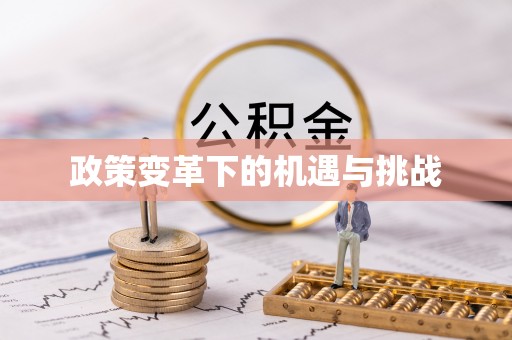 高邑政策变革下的机遇与挑战