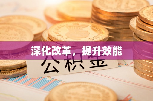 高邑深化改革，提升效能