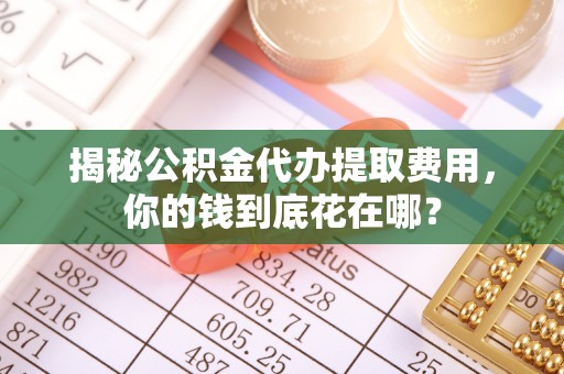 高邑揭秘公积金代办提取费用，你的钱到底花在哪？