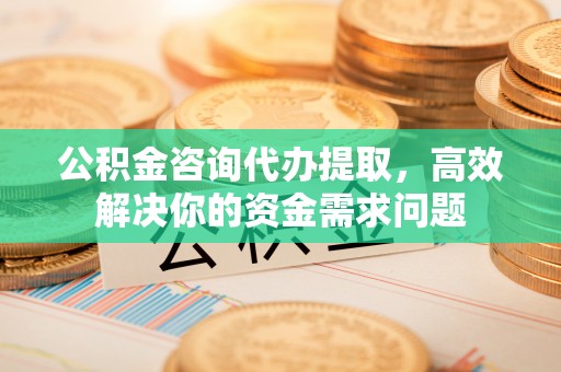 高邑公积金咨询代办提取，高效解决你的资金需求问题