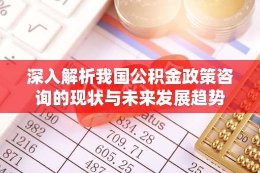 高邑深入解析我国公积金政策咨询的现状与未来发展趋势