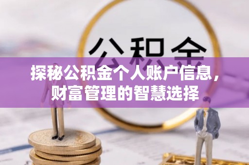高邑探秘公积金个人账户信息，财富管理的智慧选择
