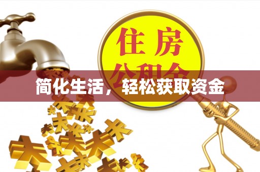 高邑简化生活，轻松获取资金