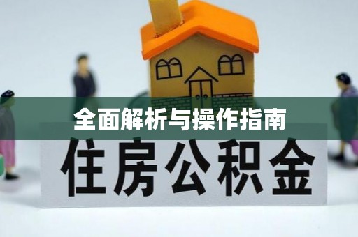 高邑全面解析与操作指南
