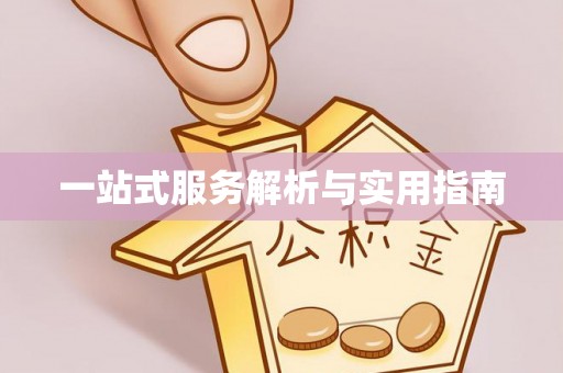 高邑一站式服务解析与实用指南