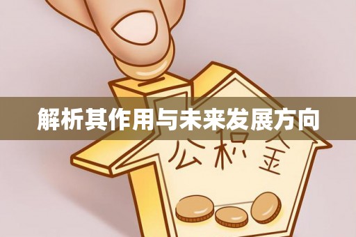高邑解析其作用与未来发展方向