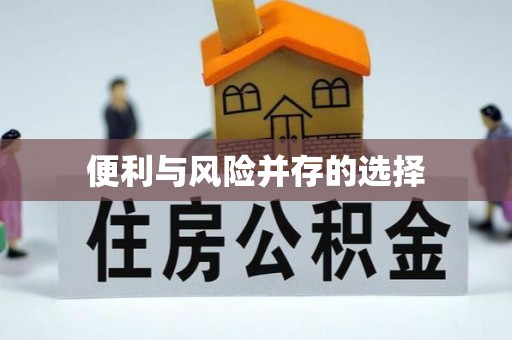 高邑便利与风险并存的选择