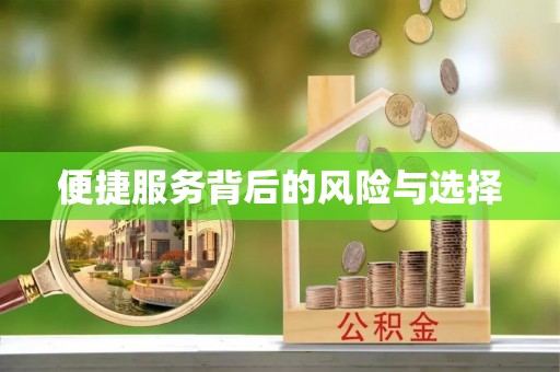 高邑便捷服务背后的风险与选择