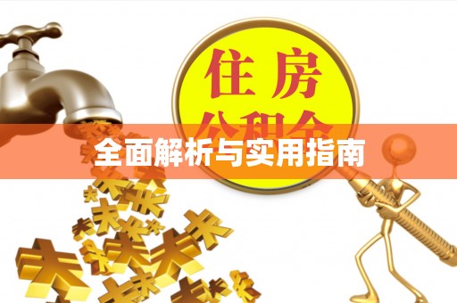 高邑全面解析与实用指南