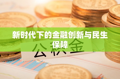 高邑新时代下的金融创新与民生保障