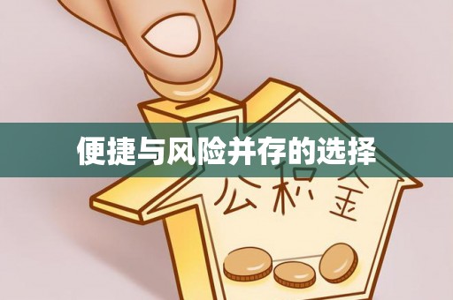 高邑便捷与风险并存的选择