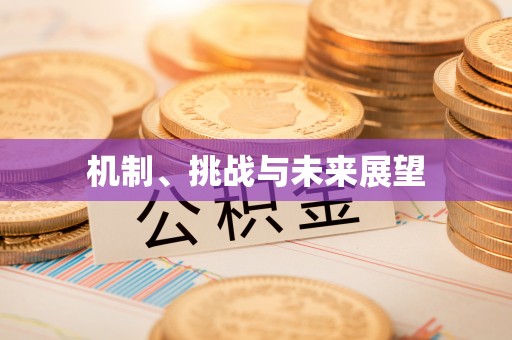 高邑机制、挑战与未来展望